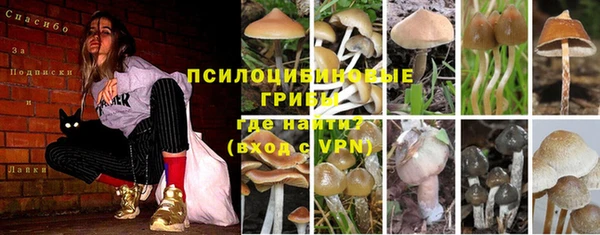 мескалин Новосибирск