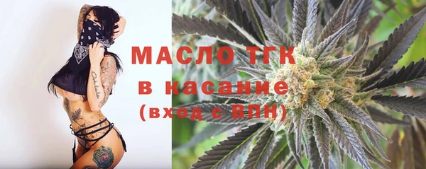 шишки Ессентукская
