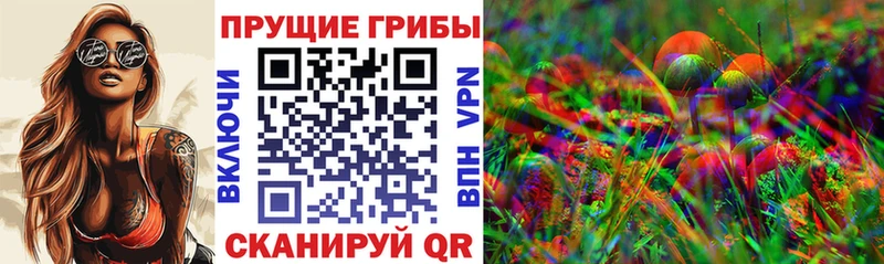 Псилоцибиновые грибы Psilocybe Ивантеевка