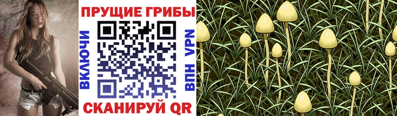 Галлюциногенные грибы GOLDEN TEACHER Ивантеевка