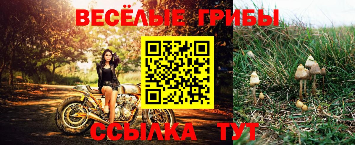 Псилоцибиновые грибы GOLDEN TEACHER Ивантеевка
