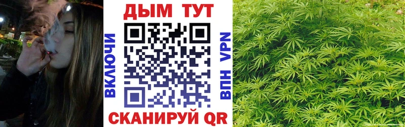 как найти закладки  Ивантеевка  Шишки марихуана Bruce Banner 